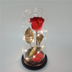 <span class=keywords><strong>Rose</strong></span> éternelle rouge dans un dôme en verre, œillets artificiels dans un dôme en verre avec lumière LED, cadeau pour les fêtes - Product Image 1