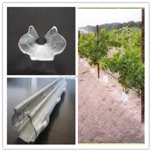 Mini valla de Metal china para jardín, estacas de uvas, sello caliente, Poste/Estaca de uva, poste de fábrica de acero galvanizado, 2020