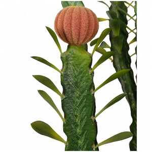 Thiết Kế tốt 80 cm Areg Cây Saguaro Cây Xương Rồng Loài Thực Vật Cây Xương Rồng Nhà Máy Đặt - Product Image 4