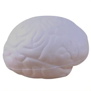 Medische antistress Squishies Brain model Pack Toy Zachte PU Foam Trage Stijgende Squishy juguete de los Haarlok de la pu onderwijs tool