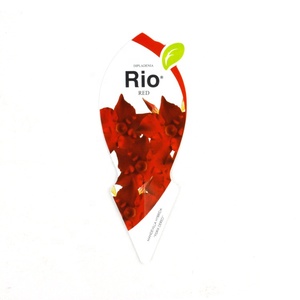 Hoa tag tùy chỉnh đất nồi chèn nhựa gắn bó nhà máy nhãn cho vườn - Product Image 2