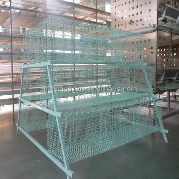 Poultry shed design chicken coops for sale Q235 wire mesh chicken brooder cage