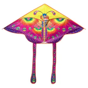 Oempromo Chinese Huge Polyester Rainbow Butterfly Kite For Kids