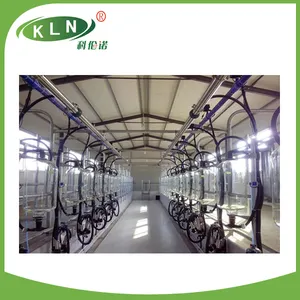 Hot sale fish-bone type milking parlor and system price