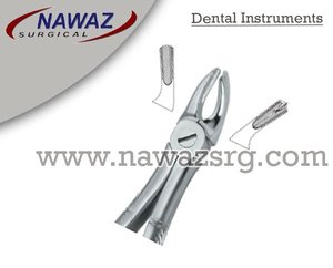 Forceps d'extraction dentaire Fig.39 L, manuel, en acier inoxydable de haute qualité, certifié CE, instruments dentaires avec logo personnalisé - Product Image 2