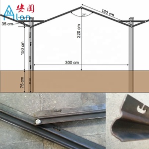 Uva Pianta di Vite Aperto Timpano Sistema Traliccio - Product Image 5