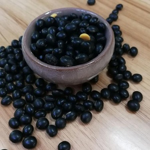 Secos negro soja con amarillo núcleo libre de transgénicos frijol negro - Product Image 3