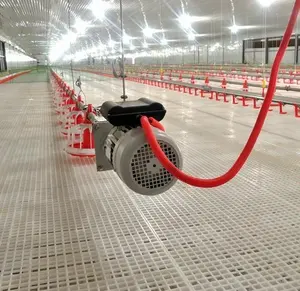 Hühner laden Hühner geflügel Farm Ausrüstung für große automatische Geflügelfarm Design