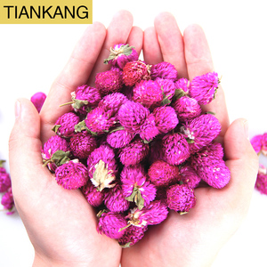 Qian Ri Hong Dry Globe Amaranth Health Tea of Globe Amaranth Tea Fleurs séchées pour la décoration - Product Image 1
