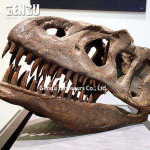 Animatronic modelo interior patio de recreo decoración fibra de vidrio T Rex cráneo fósil - Product Image 4