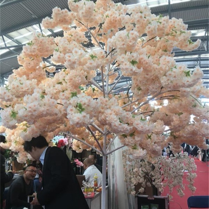 cherry blossom tree stems white