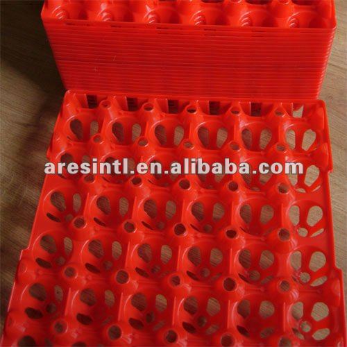 Пластиковый лоток для яиц #30