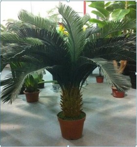 Palmera Artificial Cycas Revoluta de Alta Calidad para Decoración del Hogar, en Oferta a Precio Económico - Product Image 1