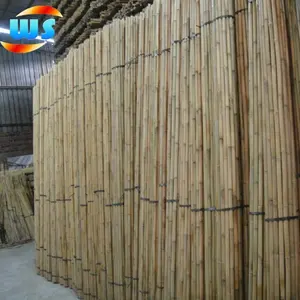 Palos largos de bambú, bastón de bambú, palo de estaca para planta
