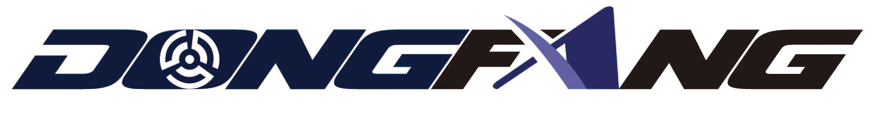 Shengzhou City Dong Fang Motor Co., Ltd. logo