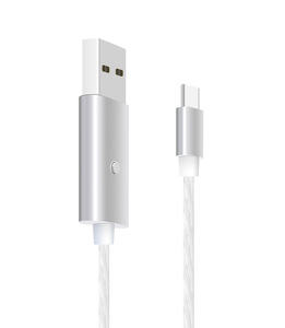 Chine Deux Face <span class=keywords><strong>2</strong></span> <span class=keywords><strong>m</strong></span> Visible Led <span class=keywords><strong>USB</strong></span> Type <span class=keywords><strong>C</strong></span> Chargeur <span class=keywords><strong>C</strong></span>âble - Product Image 4