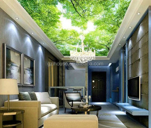 FZ020 quảng châu ihouse Sky cảnh <span class=keywords><strong>3d</strong></span> bức tranh tường cho trang trí trần nhà - Product Image 1