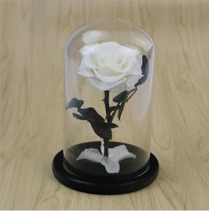Rosas Eternas de Color Rojo Vino al por Mayor, Rosas Preservadas en Cúpula de Cristal para el Día de San Valentín - Product Image 6