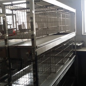 Laboratorium Dier Kooien konijn/kat/aap/rat/varken/kip/eend