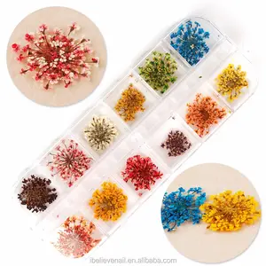 Hot Sell Nail art Accessories Natural Dry Flower 3D Stickers Decals Nail Dry Flower