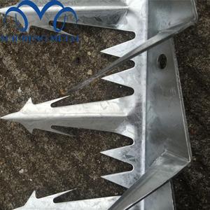 Guangzhou Anti Climb Sharp Wall <strong>Spike</strong> on <strong>Top</strong> of Wall and <strong>Fence</strong> - Product Image 6