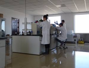 Chỉ Số Độ Nhớt Cải Thiện J0050 Ethylene-Propylene Copolymer (Rắn) - Product Image 2