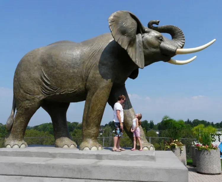उच्च गुणवत्ता जीवन आकार बड़े कांस्य हाथी मूर्तियों