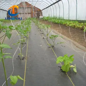 De servicio pesado paisaje de Agronomía de efecto invernadero Tierra cubierta de plástico de PP de 90gsm respetuoso del medio ambiente en el jardín de película de plástico cubierta de tierra - Product Image 3