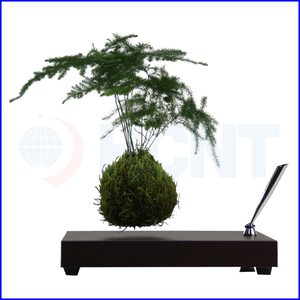 Levitando bonsai árbol de aire interior con plantas verdes - Product Image 4
