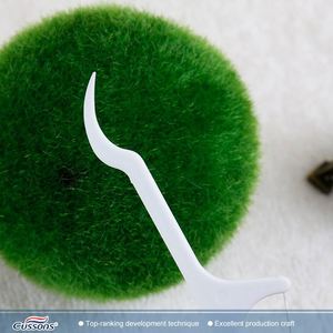 Logo personalizzato promozione cura dei denti fornisce plettri per filo interdentale - Product Image 4