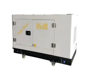 Goedkope prijs hoge kwaliteit VLAIS 15kw stille diesel generator prijs in india