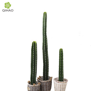 Offre Spéciale Usine Moins Cher Unique tête Plantes de <span class=keywords><strong>Cactus</strong></span> artificielles Pour la Décoration De la maison