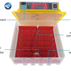 Nouveau produit 48 incubateur d'oeufs <span class=keywords><strong>de</strong></span> <span class=keywords><strong>pigeon</strong></span> <span class=keywords><strong>à</strong></span> <span class=keywords><strong>vendre</strong></span> en Inde - Product Image 5