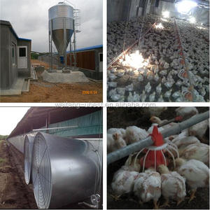 Yüksek kaliteli broiler tavuk çiftliği tasarım hindistan besleme hattı ile su hattı havalandırma fanı soğutma pedi klima kontrol sistemi - Product Image 4