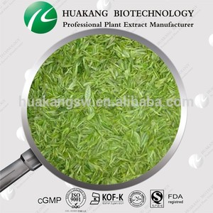 100% <span class=keywords><strong>extracto</strong></span> de té <span class=keywords><strong>verde</strong></span> Natural / <span class=keywords><strong>extracto</strong></span> de té <span class=keywords><strong>verde</strong></span> proveedor - Product Image 3