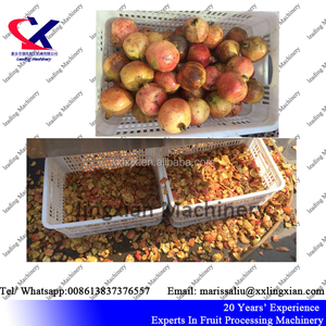 Marca calificado <span class=keywords><strong>Granada</strong></span> roja planta vino <span class=keywords><strong>Granada</strong></span> exprimidor <span class=keywords><strong>de</strong></span> prensa - Product Image 5