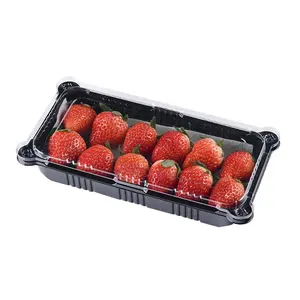 Einweg 250g 300g 350g Obst PET Kunststoff Erdbeer Verpackungs behälter mit klarem PET Deckel
