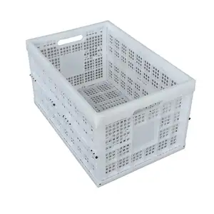Fruta pantalla cesta tomate plástico Caja Blanco caja de plástico plegable vegetales cajas fabricantes embrague la cesta