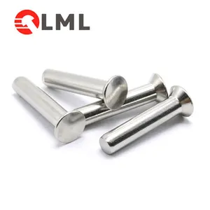 العلامة التجارية LML برشام تبدأ 1998,300 العملاء الثناء المعدنية الصلبة النحاس الفولاذ المقاوم للصدأ الألومنيوم برشام الصانع NO-R001