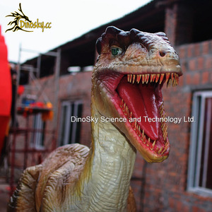 <span class=keywords><strong>Simulation</strong></span> <span class=keywords><strong>de</strong></span> modèles <span class=keywords><strong>de</strong></span> dinosaures mécaniques grandeur nature Velociraptor pour les parcs à thème Jurassic DINOSKY - Product Image 6