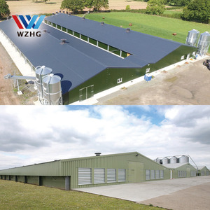 Nhà nuôi gà kết cấu thép tiền chế, thiết kế chuồng nuôi gà thịt cho 10.000 con gà - Product Image 2