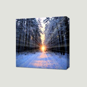 Sol y hermoso árbol de ensue moderna arte de la lona impresión de la pintura para la decoración casera - Product Image 2