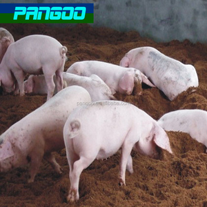 Besleme faydalı bakteri hayvan yetiştirme için üzerinde fermantasyon yatağı No.1 ukrayna - Product Image 3
