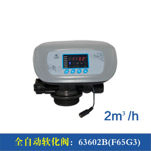 TMF65P1 F65P3 RUNXIN 2 M3 Wasserenthärter-Steuerventile für RO-Anlagen - Product Image 5