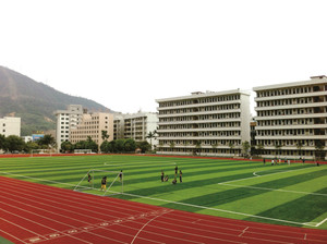 <span class=keywords><strong>Pasto</strong></span> / césped sintético para cancha de fútbol - Product Image 4