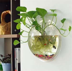 Opknoping Muur Gemonteerd Vis Kom <span class=keywords><strong>Betta</strong></span> <span class=keywords><strong>Tank</strong></span> Aquarium Plant Fish Bubble-Clear (Medium) - Product Image 2