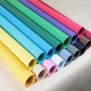 Fondale fotografico pieghevole in carta 2,72 m x 10 m per studio fotografico/video - Product Image 3