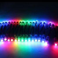 SHIJI extérieur adressable rvb Pixel LED guirlande lumineuse 12mm blanc chaud LED point de pixel éclairage WS2811 WS2801 étanche