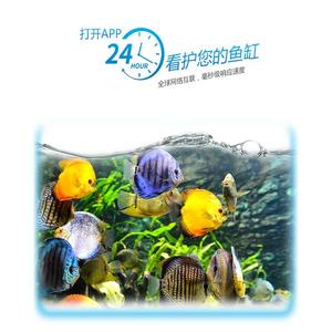 Thiết Lập Thời Gian Và Bữa Ăn Giá Rẻ Thiết Bị Cho Cá Ăn Tự Động Wifi Thiết Bị Cho Cá Ăn Điều Khiển Ứng Dụng Di Động - Product Image 6
