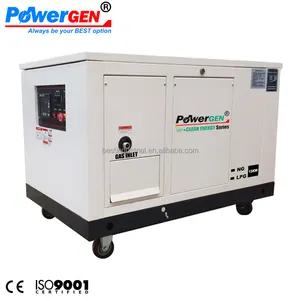 Energi Bersih!!! POWERGEN Pendingin Air Senyap NG Gas Alam/Generator Propana Cair LPG 15KW